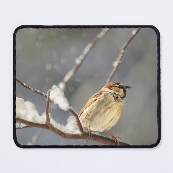 Item preview, House Sparrow In The Snow designed and sold by Lois  Bryan.