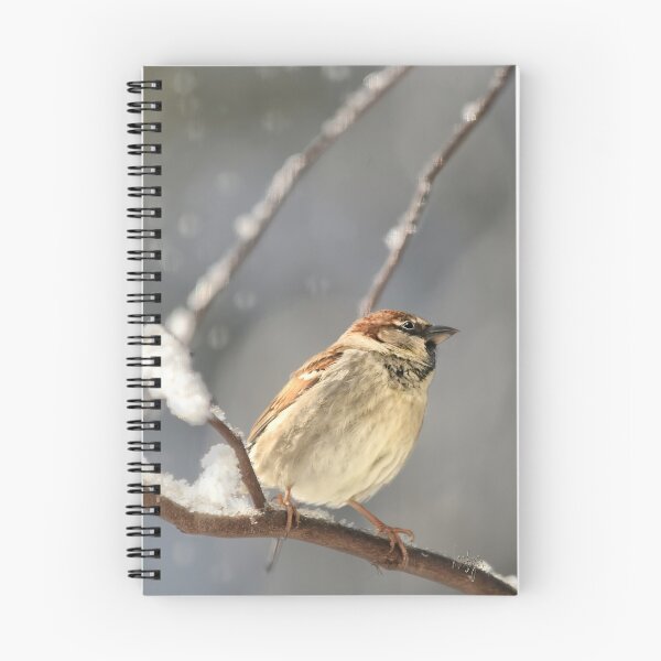 Item preview, House Sparrow In The Snow designed and sold by Lois  Bryan.