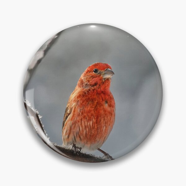 Item preview, House Finch On A Snowy Morning designed and sold by Lois  Bryan.