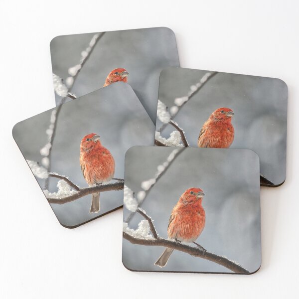 Item preview, House Finch On A Snowy Morning designed and sold by Lois  Bryan.