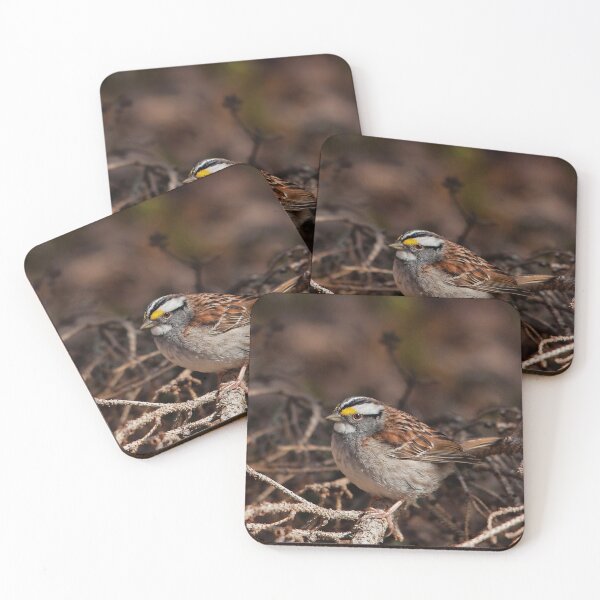 Item preview, Bunting in a fir branch designed and sold by Production Art Manon Meilleur.