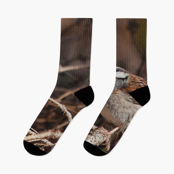 Item preview, Bunting in a fir branch designed and sold by Production Art Manon Meilleur.