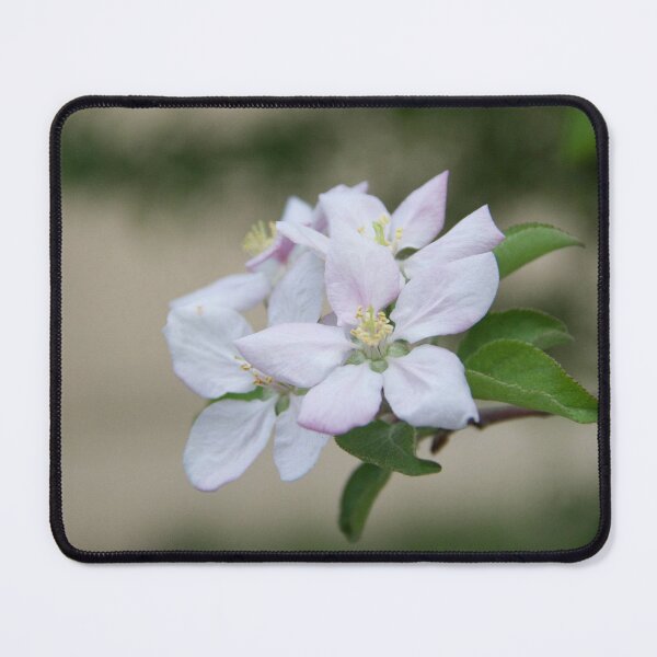 Item preview, Bloom of Apple Tree Flower designed and sold by Chrismstudios.