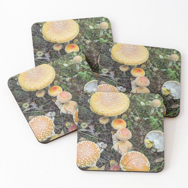 Item preview, Amanita Family designed and sold by Oman0408.