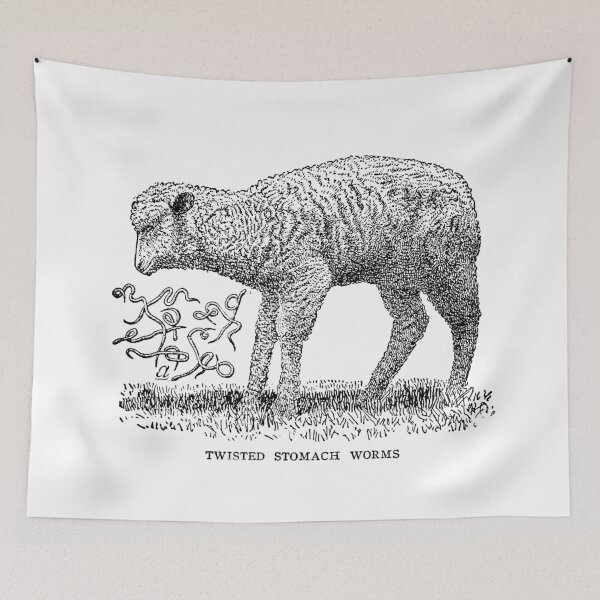 Item preview, Vintage Veterinary Medical Gothic Oddity Sheep Art designed and sold by grunge-spiral.