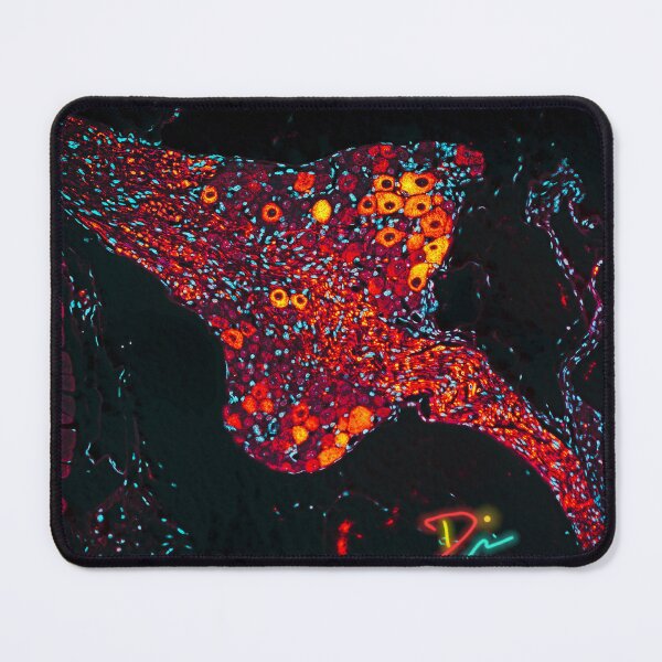 Item preview, Manta Ray designed and sold by MicroLife-DSG.