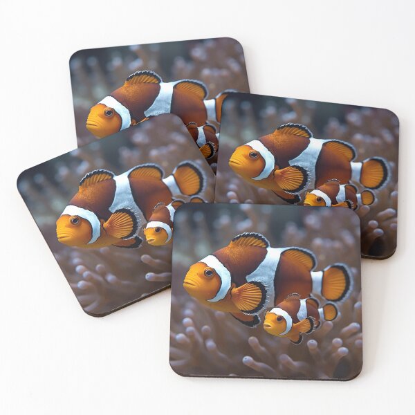 Item preview, Animal Baby Series, Clown Fish designed and sold by FullSurrender.