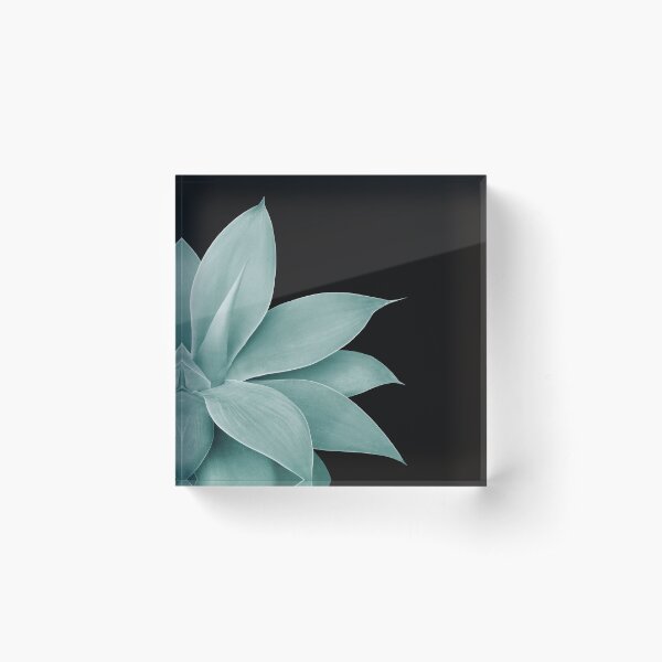 Item preview, Agave Finesse #4 #tropical #decor #art  designed and sold by Anita's & Bella's Art.