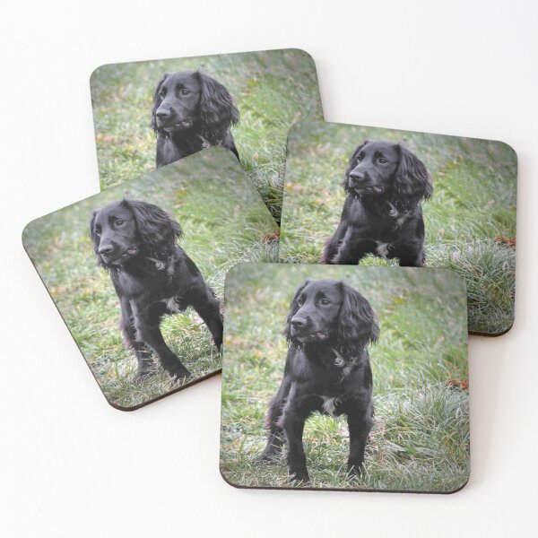 Item preview, Black Dog designed and sold by JEZ22.
