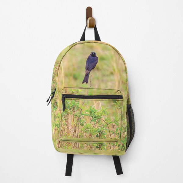 Item preview, Fork-Tailed Drongo designed and sold by Kay Brewer.
