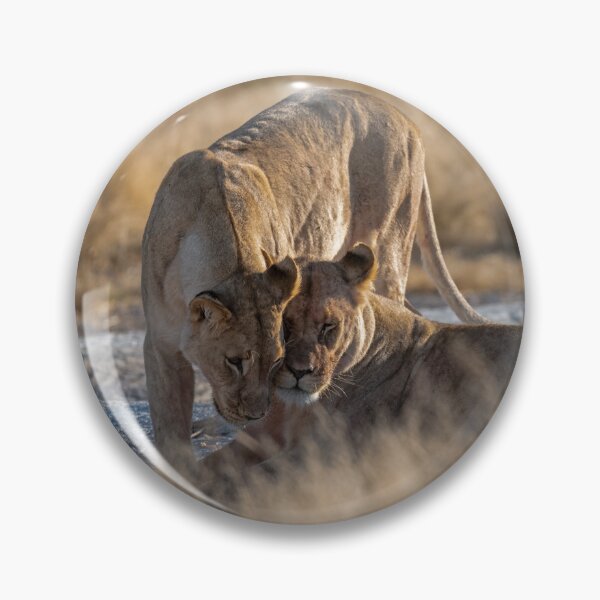 Item preview, Lioness Sisterhood, Affection In Etosha Grasslands designed and sold by DavideAntoniani.