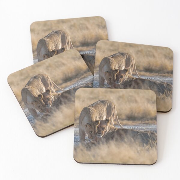 Item preview, Lioness Sisterhood, Affection In Etosha Grasslands designed and sold by DavideAntoniani.