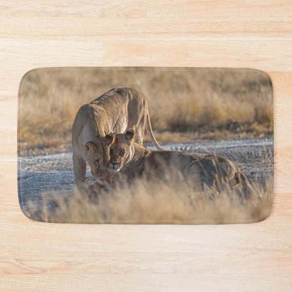 Item preview, Lioness Sisterhood, Affection In Etosha Grasslands designed and sold by DavideAntoniani.
