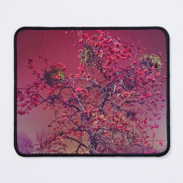 Item preview, Fruiting rowan in the night illumination of the park. designed and sold by Enerjetal.