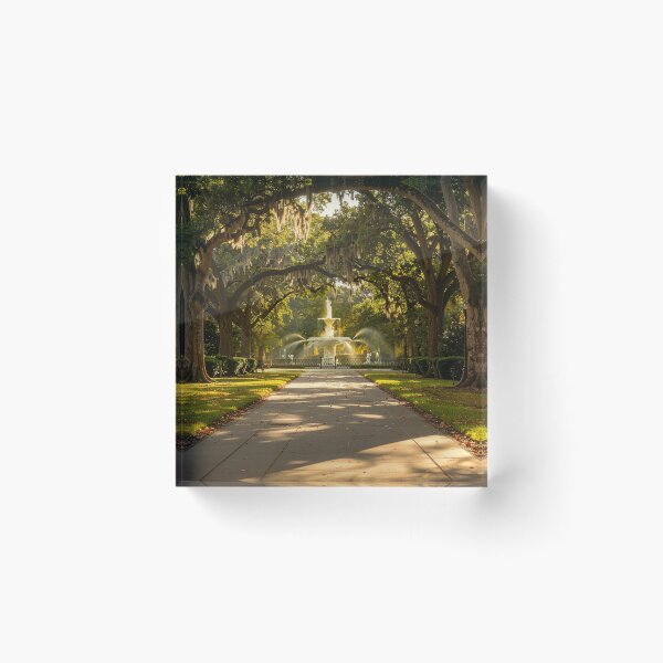 Item preview, Forsyth Park designed and sold by BoKev.