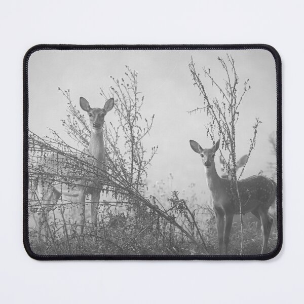 Item preview, Angels In The Mist BW designed and sold by Jim Love.