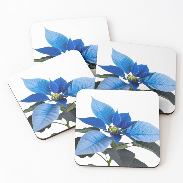 Item preview, Blue Poinsettia Flower designed and sold by SassyArtistry.
