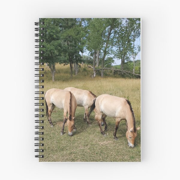 Item preview, Przewalski’s Horses Grazing designed and sold by The Witchy Hearth.