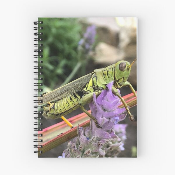 Item preview, Grasshoppers and lavender designed and sold by RDLT.