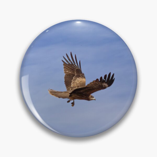 Item preview, Kanazawa Hawk 1 designed and sold by Matthew McGraw Photos.
