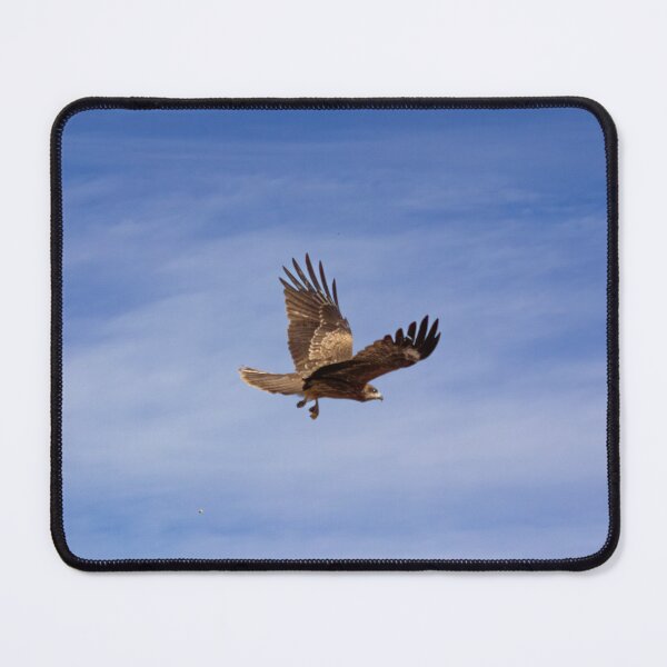 Item preview, Kanazawa Hawk 1 designed and sold by Matthew McGraw Photos.