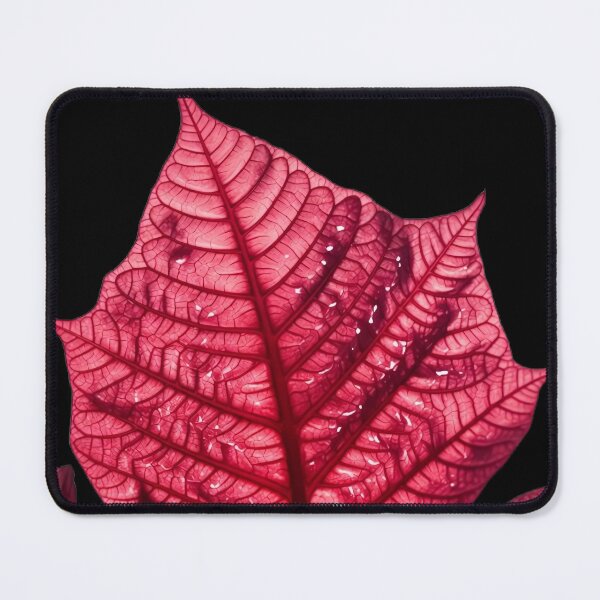 Item preview, Red poinsettia leaf cluster in detailed close view designed and sold by SassyArtistry.