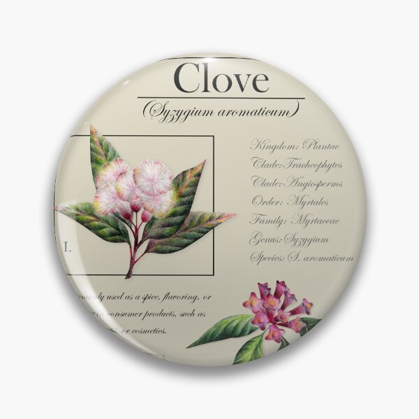Item preview, Clove Plant Botanical Illustration designed and sold by Art_By_Wing.