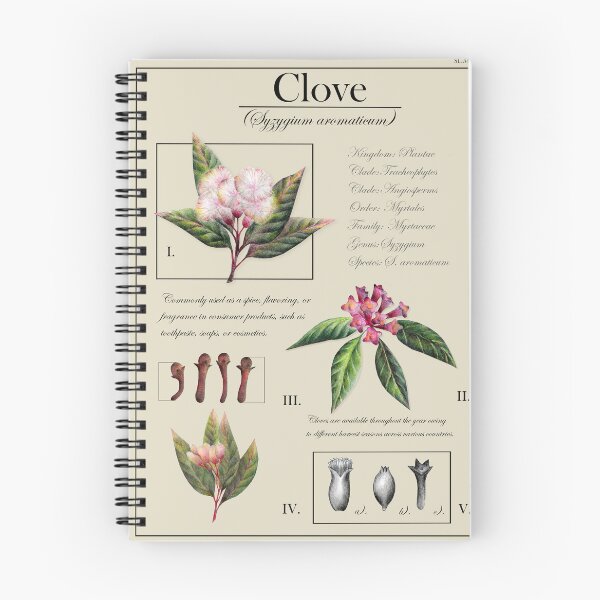 Item preview, Clove Plant Botanical Illustration designed and sold by Art_By_Wing.