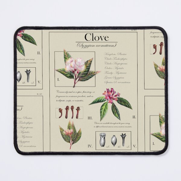 Item preview, Clove Plant Botanical Illustration designed and sold by Art_By_Wing.