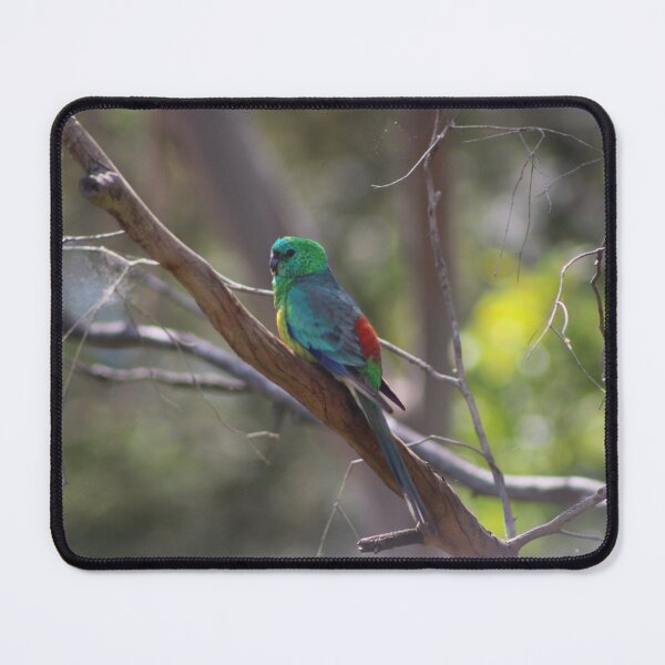 Item preview, Red Rumped Parrot designed and sold by Captured-Adventures11.