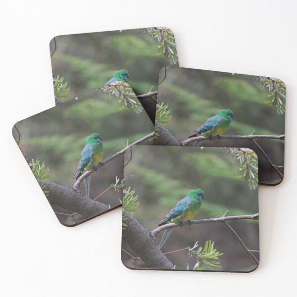 Item preview, Red Rumped Parrot in a Banksia designed and sold by Captured-Adventures11.