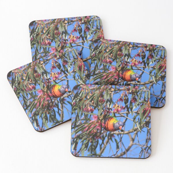 Item preview, Rainbow Lorikeet in a Silver Princess designed and sold by Captured-Adventures11.