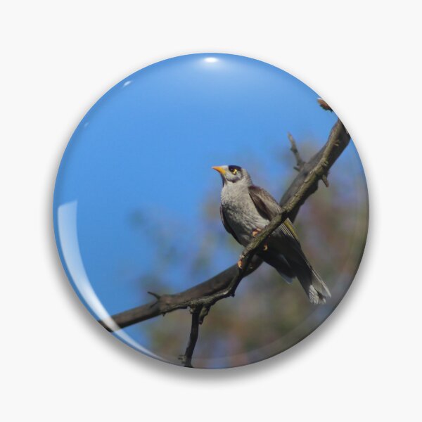 Item preview, Noisy Miner designed and sold by Captured-Adventures11.