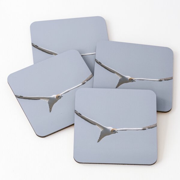 Item preview, Gannet in the Air designed and sold by Jan Fijolek.
