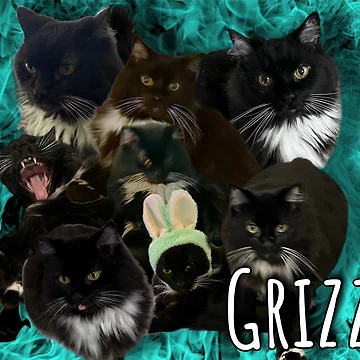Artwork thumbnail, Griz by Partially-Rye-P