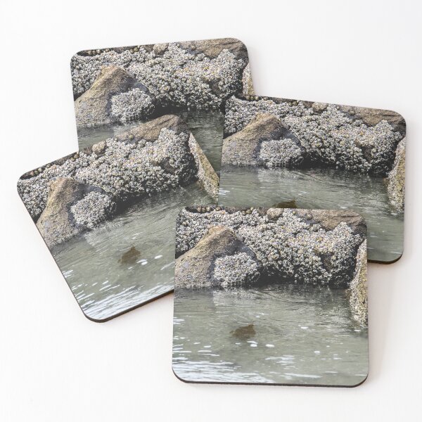Item preview, Almost Home!  designed and sold by heatherfriedman.