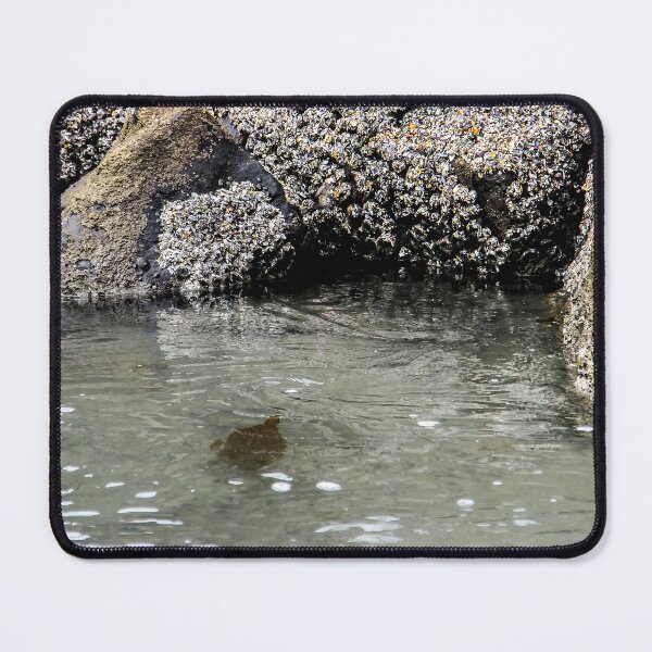Item preview, Almost Home! designed and sold by heatherfriedman.