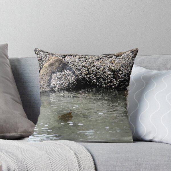 Item preview, Almost Home!  designed and sold by heatherfriedman.