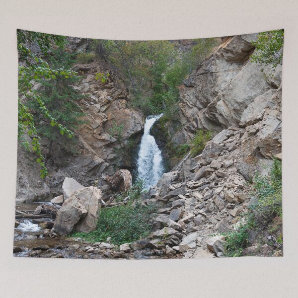 Item preview, View of Hardy Falls Near Peachland, British Columbia, Canada designed and sold by Amy Mitchell.