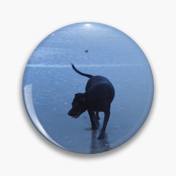 Item preview, Dog at Dawn by the Shore designed and sold by SunrizePhotos.