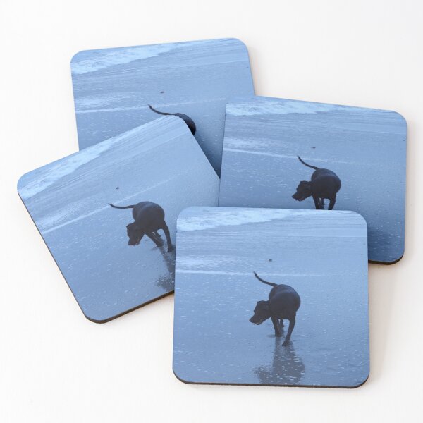 Item preview, Dog at Dawn by the Shore designed and sold by SunrizePhotos.