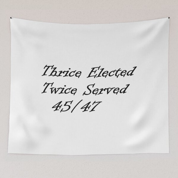Item preview, Stolen election shirt designed and sold by AK Designs LLC of New Hampshire.