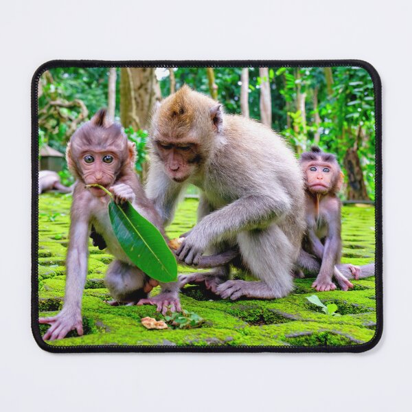 Item preview, Monkey Family with Babies at Monkey Forest in Ubud Bali designed and sold by Adam Gormley.