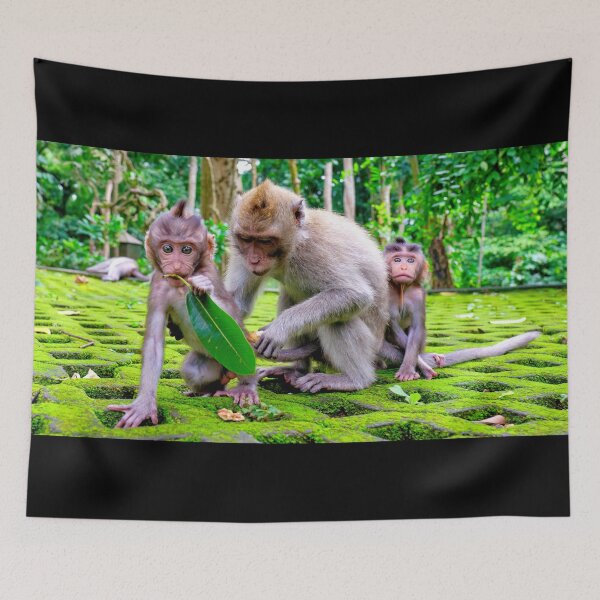 Item preview, Monkey Family with Babies at Monkey Forest in Ubud Bali designed and sold by Adam Gormley.