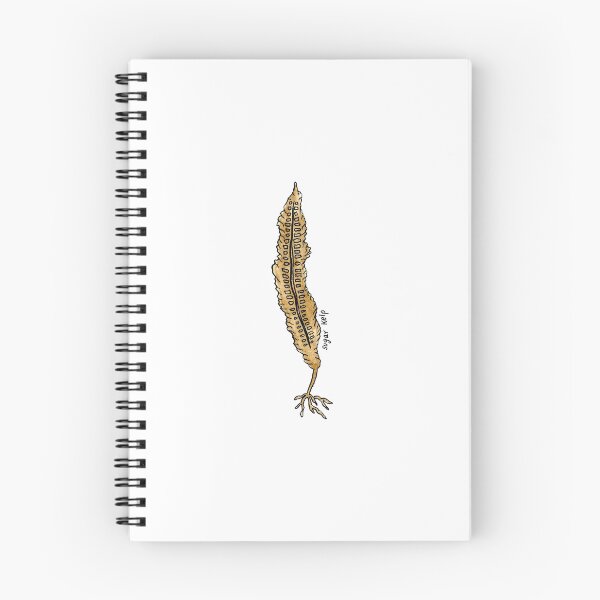 Item preview, sugar kelp illustration designed and sold by Full Whimsy.