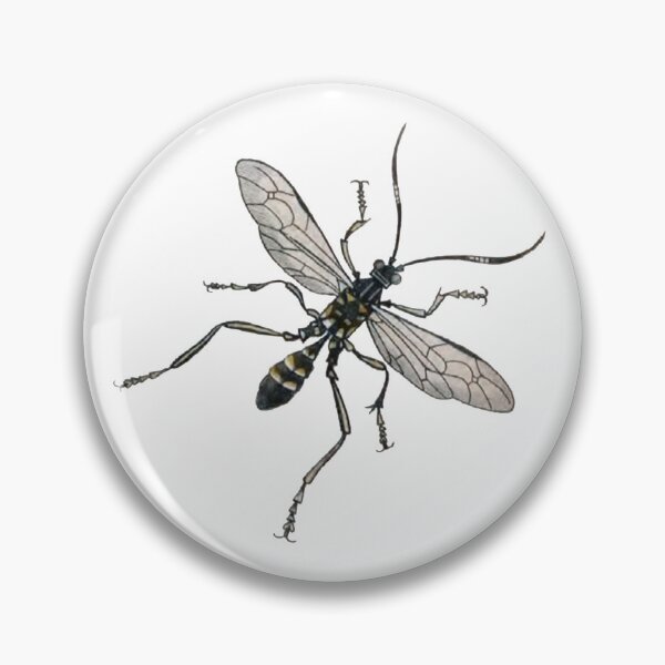 Item preview, Entomology Bug, Fly, Joppa Picta Illustration  designed and sold by HawthorneFlame.