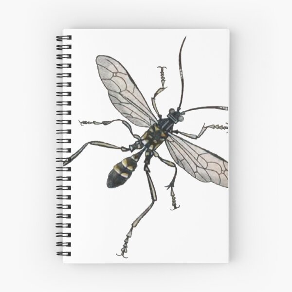 Item preview, Entomology Bug, Fly, Joppa Picta Illustration  designed and sold by HawthorneFlame.