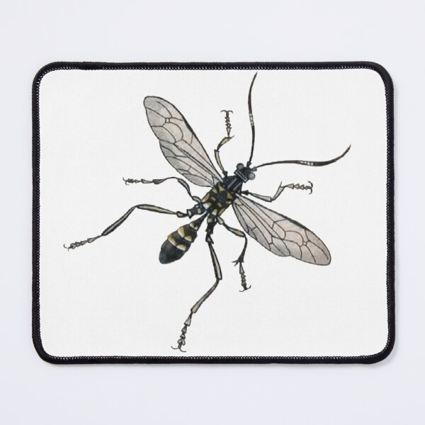 Item preview, Entomology Bug, Fly, Joppa Picta Illustration  designed and sold by HawthorneFlame.