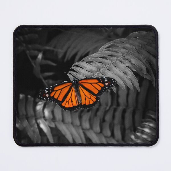 Item preview, Monarch Butterfly on Monochrome Ferns designed and sold by LSC-Prints.
