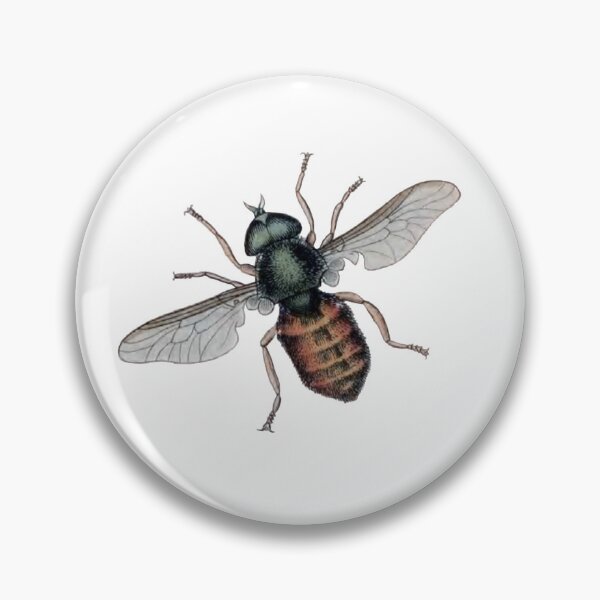 Item preview, Entomology Bug, Fly, Tabanus Tropicus Illustration  designed and sold by HawthorneFlame.